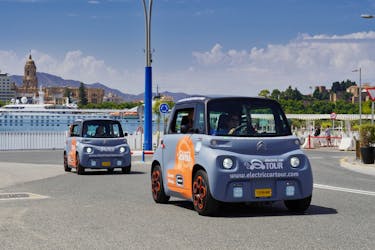 Visite privée de Malaga en voiture électrique